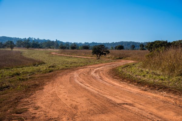 Cost of Dirt Driveway Repair in Dothan