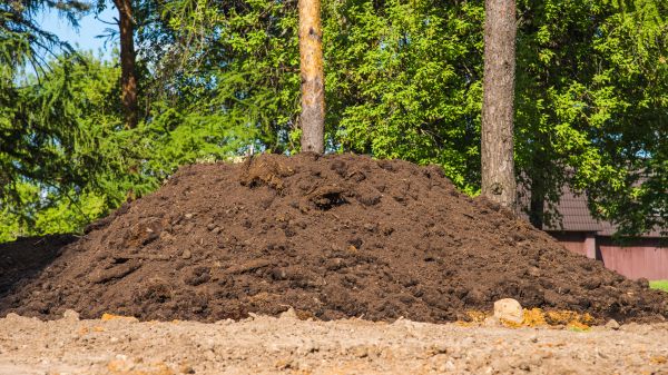 Cost of Dirt Installation in Dothan