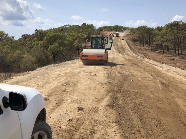 Cost of Driveway Grading in Dothan