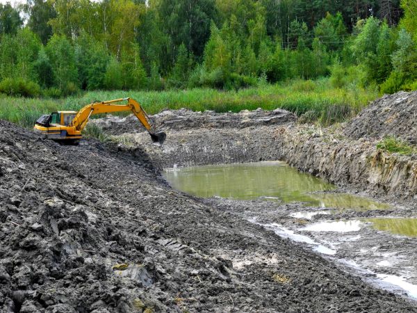 Cost of Fish Pond Digging in Dothan