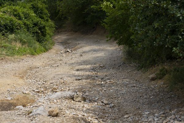 Cost of Gravel Road Pothole Repair in Dothan