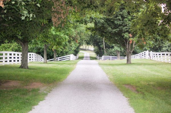 Cost of Gravel Driveway Construction in Dothan