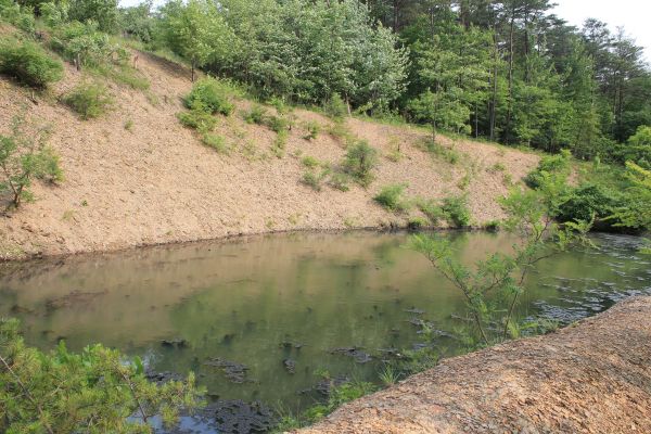 Cost of Pond Erosion Repair in Dothan