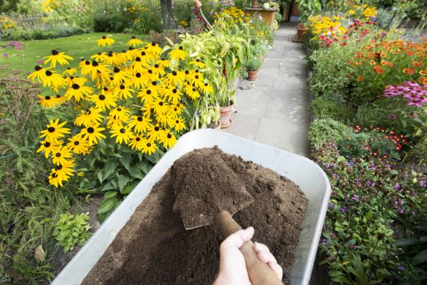 Cost of Topsoil Installation in Dothan