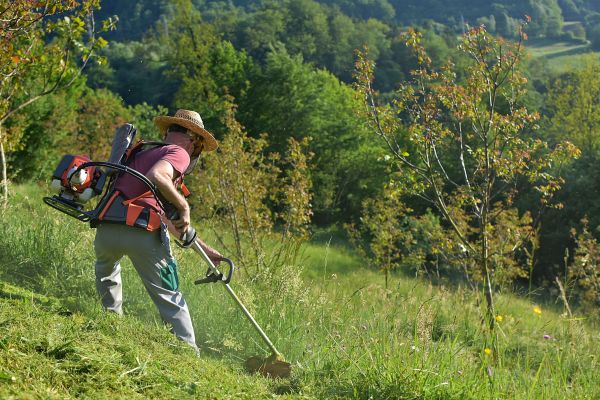 Cost of Slope Trimming in Dothan